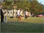 Klub kepek 2014- 0859